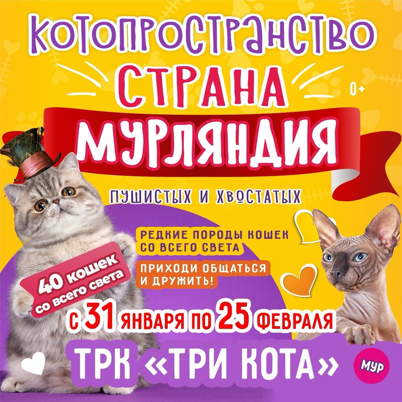 Страна Мурляндия» - котики и кошечки необычных пород со всего света